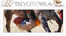 Dżygitówka - woltyżerka konna