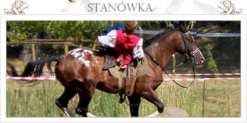 ogier- stanówka